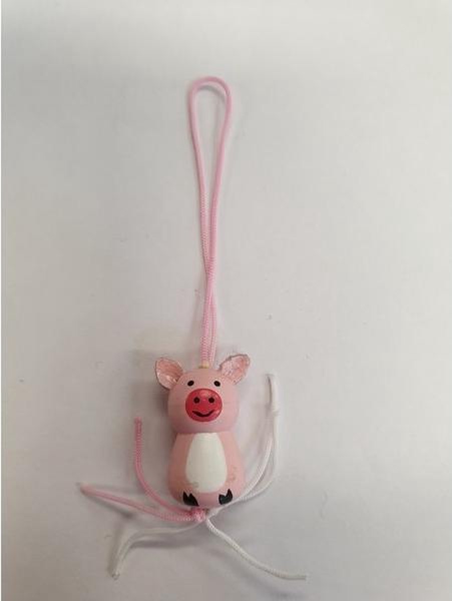 50x Geluks biggetjes | Gelukspoppetjes